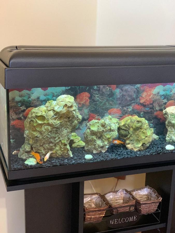 Apartmán Monolocale Occhi D'Argento Sciacca Exteriér fotografie